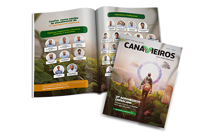 Revista Canavieiros