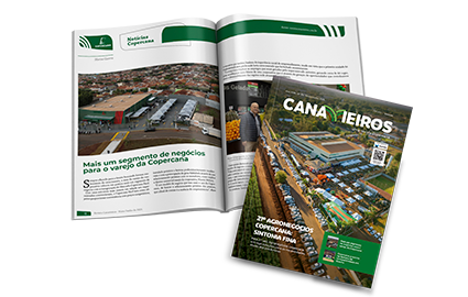 Revista Canavieiros