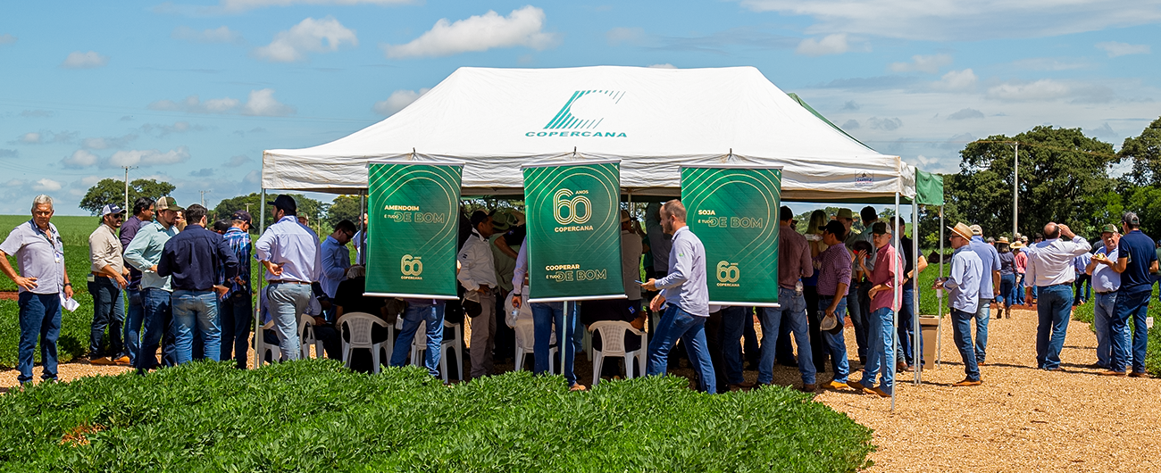 Copercana realiza dia de campo na Fazenda Santa Rita