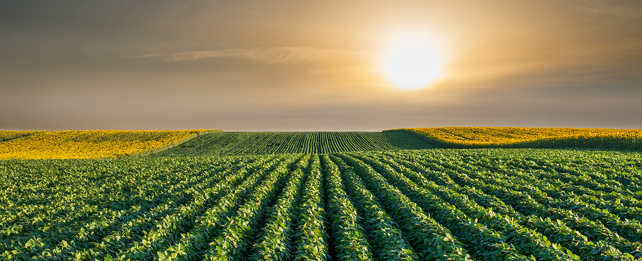 Dia Nacional da Agricultura