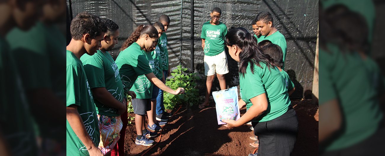 Alunos do Plantando o Futuro iniciam o plantio na horta com atividade prática e criativa