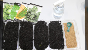 Alunos do Plantando o Futuro realizam plantio em potes reutilizáveis em atividade sustentável