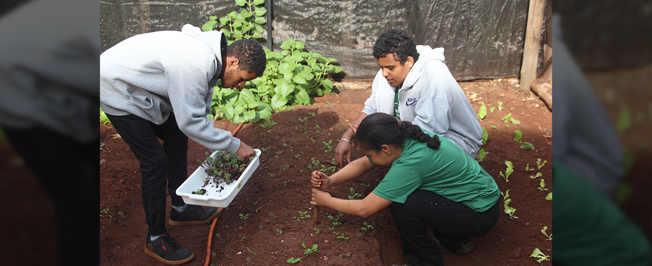 Alunos do Plantando o Futuro realizam replantio da horta e cuidados com as plantas