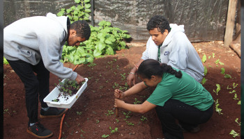 Alunos do Plantando o Futuro realizam replantio da horta e cuidados com as plantas