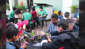 Alunos do Plantando o Futuro realizam poda para revitalização de plantas  