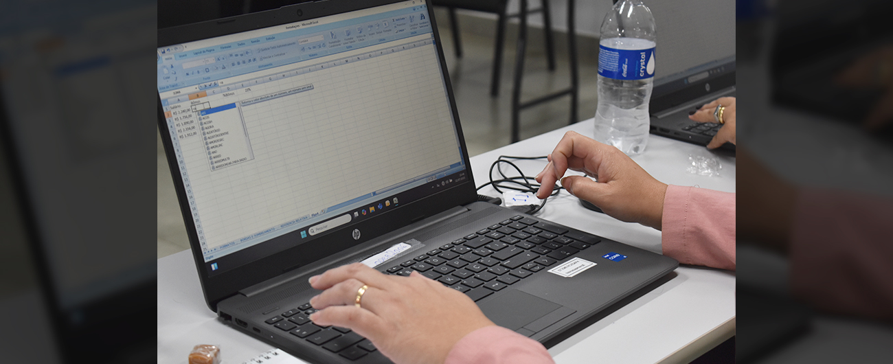 Capacitação em Excel Básico