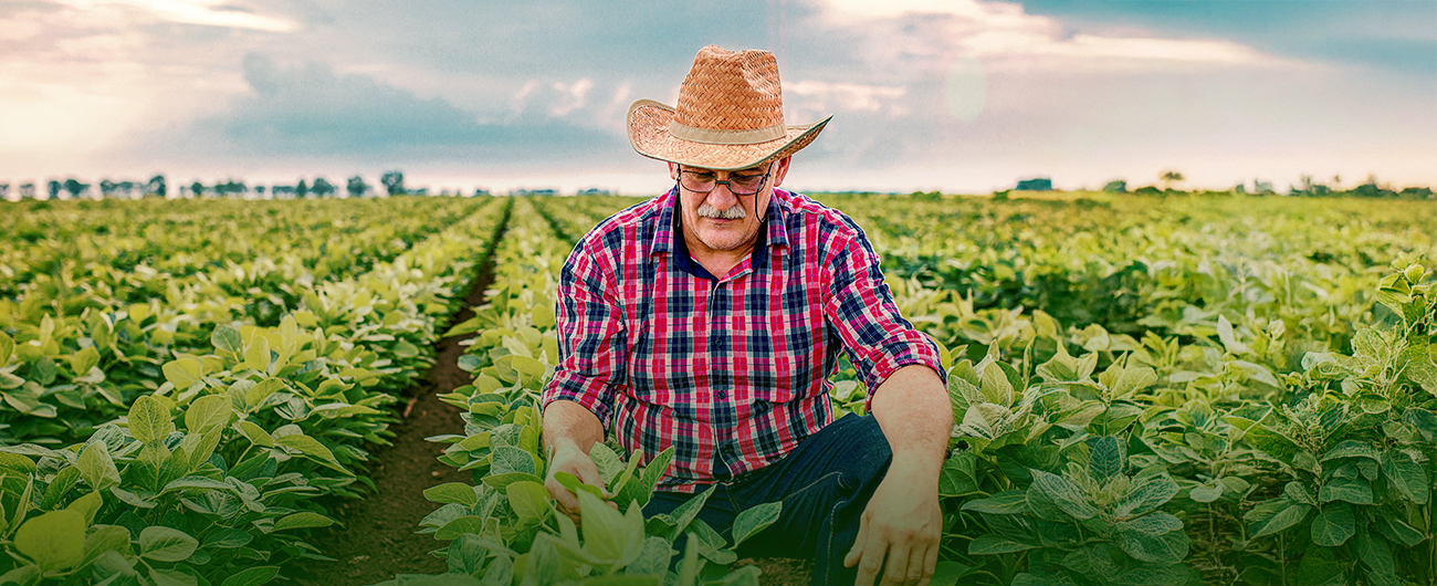 Copercana homenageia o produtor rural e reforça seu compromisso com o campo