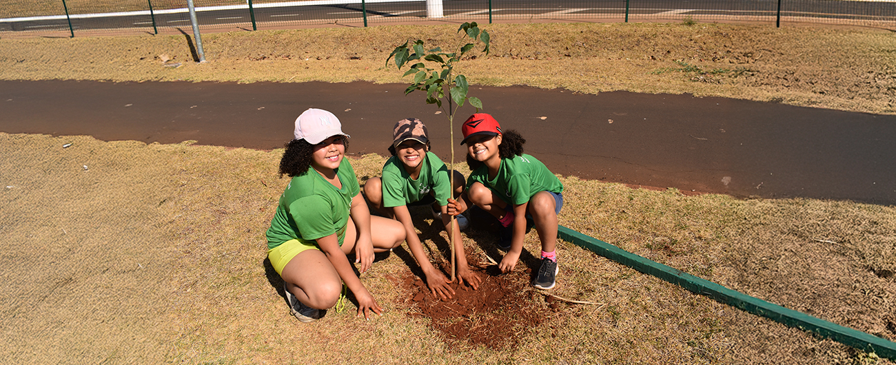 Copercana Sustentável | ESG e Casa das Mangueiras celebram o Dia da Árvore com plantio de Ipês no Parque Linear
