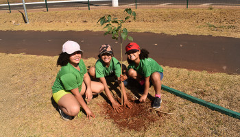 Copercana Sustentável | ESG e Casa das Mangueiras celebram o Dia da Árvore com plantio de Ipês no Parque Linear