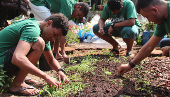 Cuidar e Comemorar: Uma Semana Especial do Plantando o Futuro