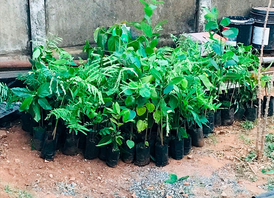 Uma forma de alento e solidariedade