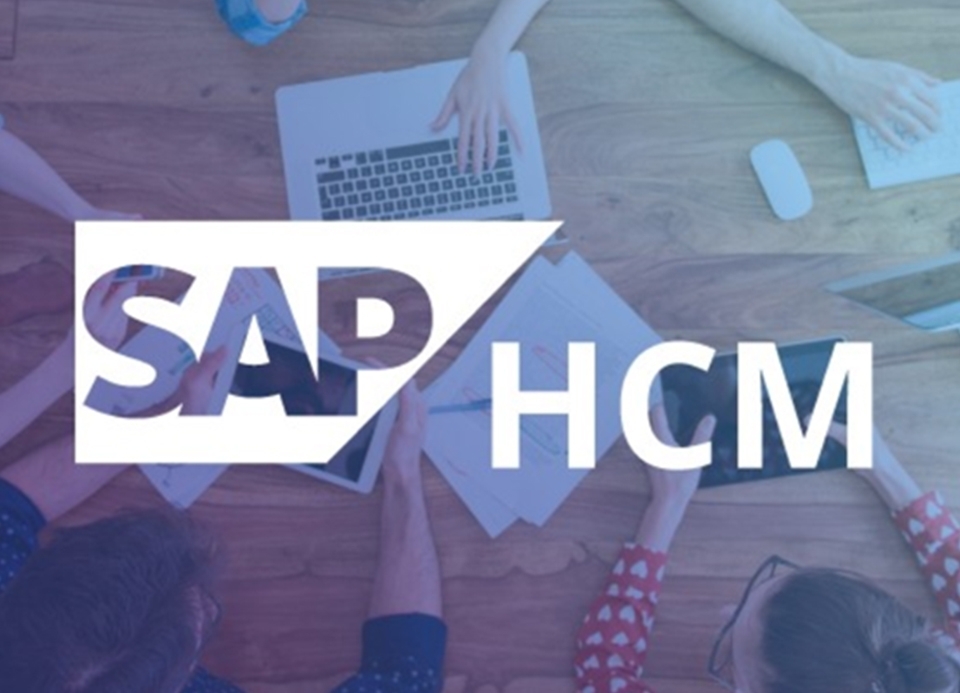 Gestão de Capital Humano + SuccessFactors