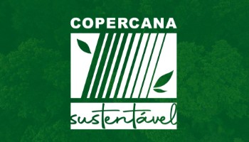Algumas atitudes garantem uma rotina mais prática e sustentável