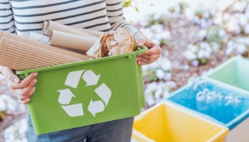 Dia mundial da reciclagem é comemorado nesta segunda