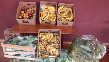 Copercana doa alimentos para animais sobreviventes a incêndio em Sertãozinho