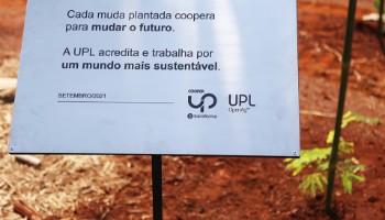 Reformulação Ambiental às margens da lagoa na Unidade de Grãos 3