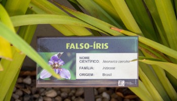 Paisagismo Sustentável recebe placas de identificação