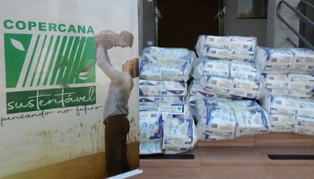 Promovendo a solidariedade
