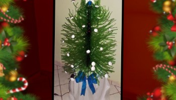 Natal sustentável